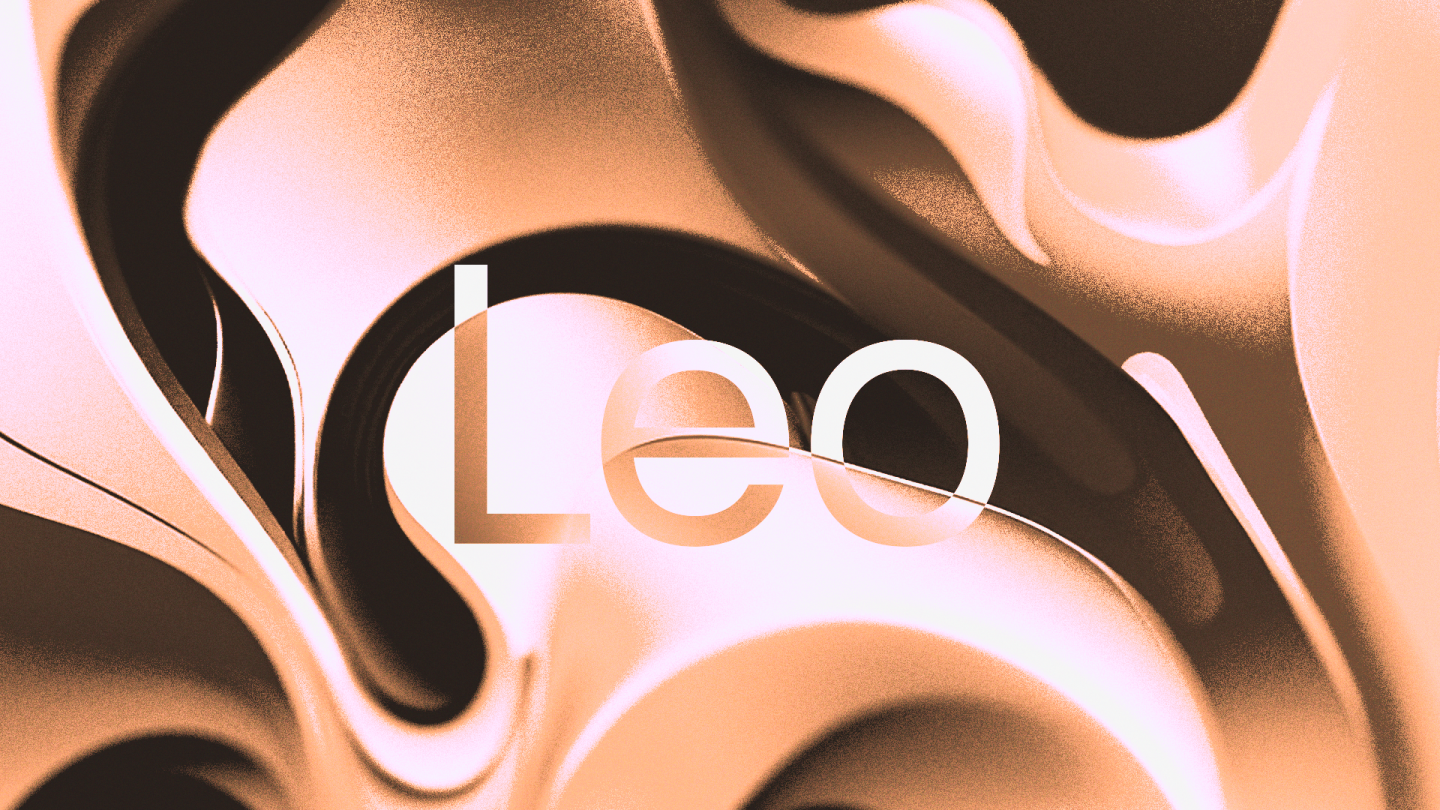 Intro to Leo Programming Language