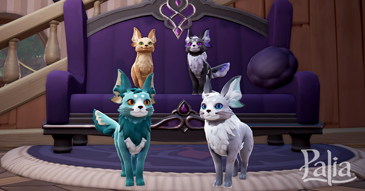 Introducing Pets!
