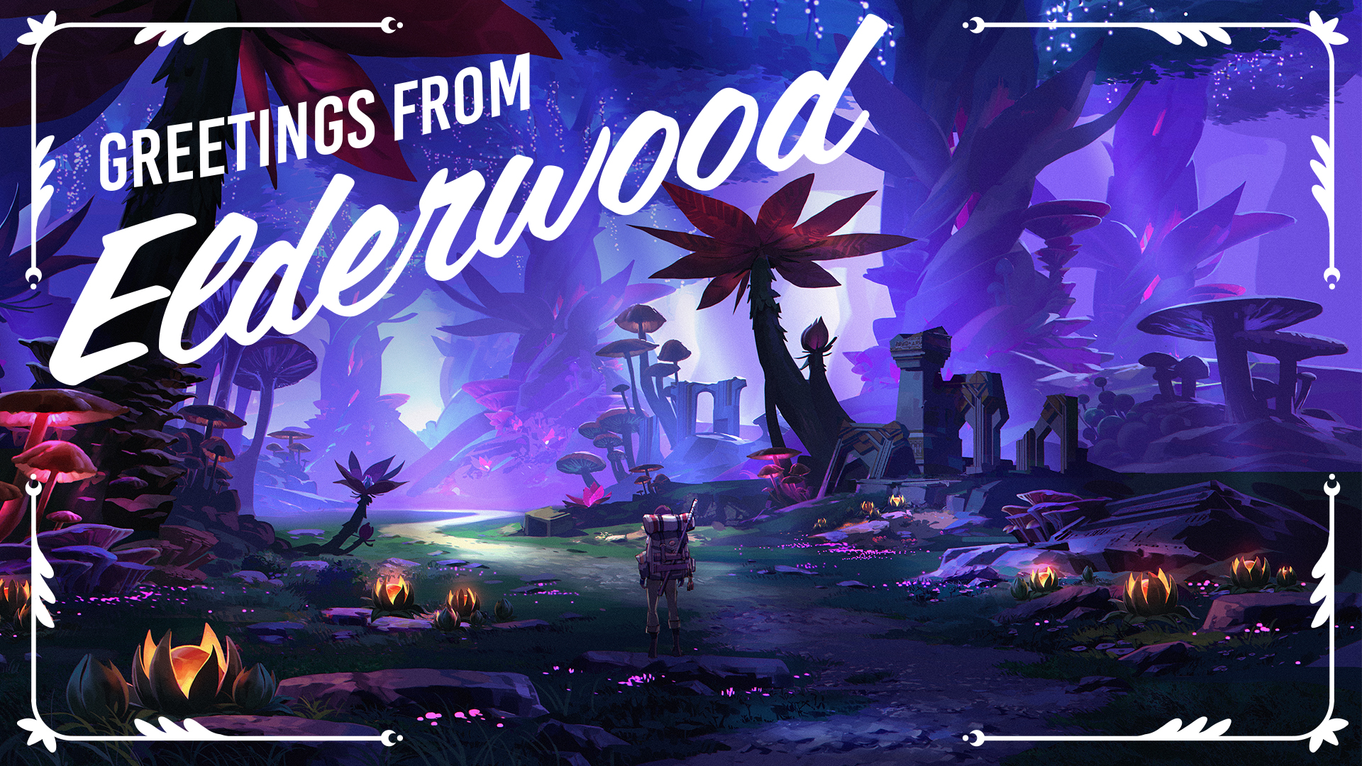 Elderwood blog 2