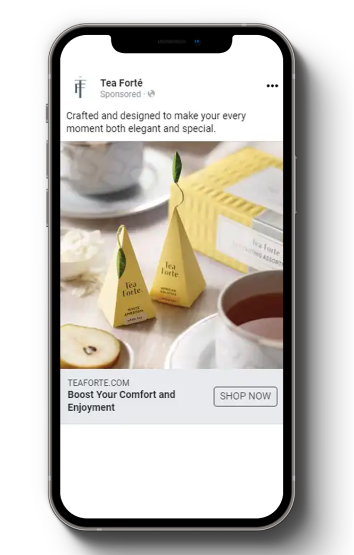 Tea Forte Case Study - Goal 1 - Phone 1