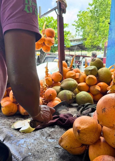 Cracking into one of Sri Lanka's colourful king coconuts.