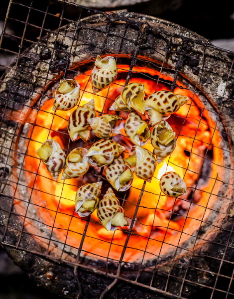 Charcoal grilled specialities for the curious foodie out there