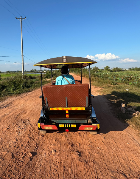 Explore Siem Reap and surrounds by tuk-tuk