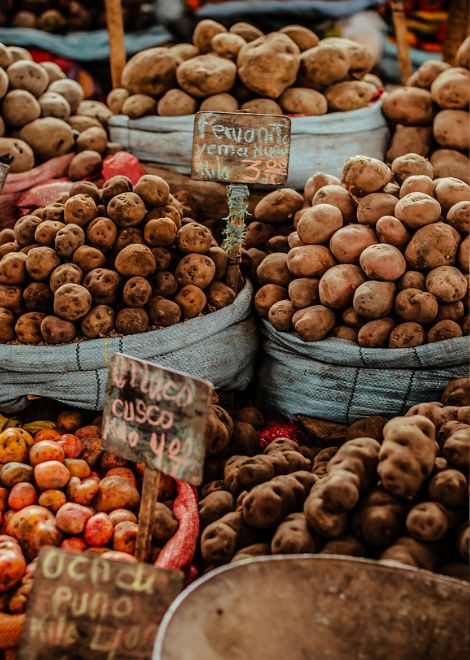 Experience everyday life inside Mercado San Camilo.