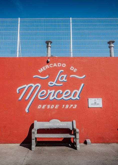 Try 15+ tastings on our daily Oaxaca food tour