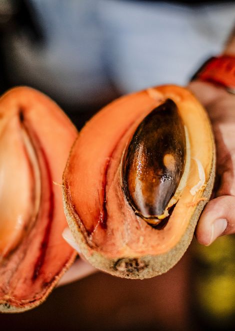 Try exotic Mexican fruits