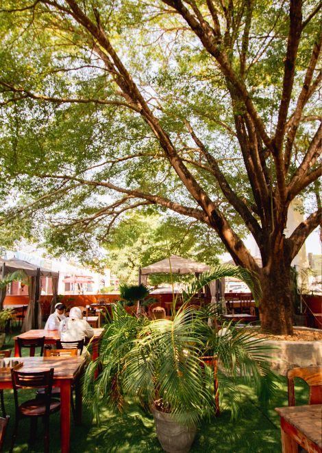 Taste your way through 7–8 local spots across Stone Town.