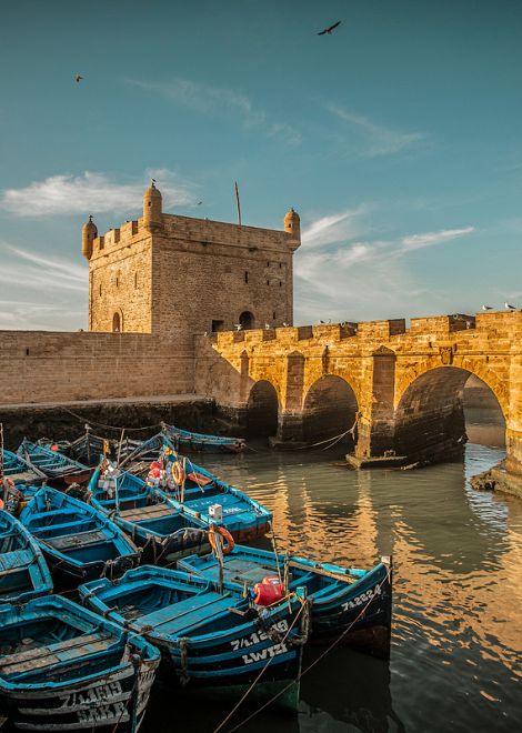 Explore the culinary side to the coastal town of Essaouira