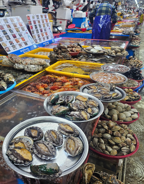 The lively daily catch at Jalgachi market