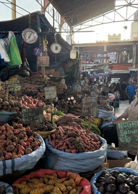 Explore the city's buzzy food markets