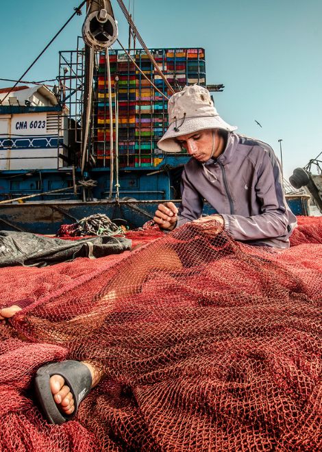 Explore the port, harbour and medina on this four-hour food tour