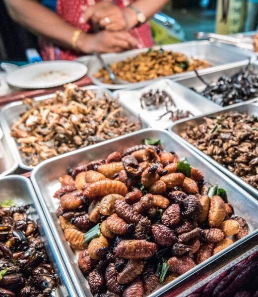 Bug life – A guide to eating insects in Thailand header image