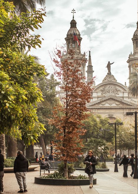 At the heart of Santiago lies Plaza de Armas, the historic square where the city was founded in 1541