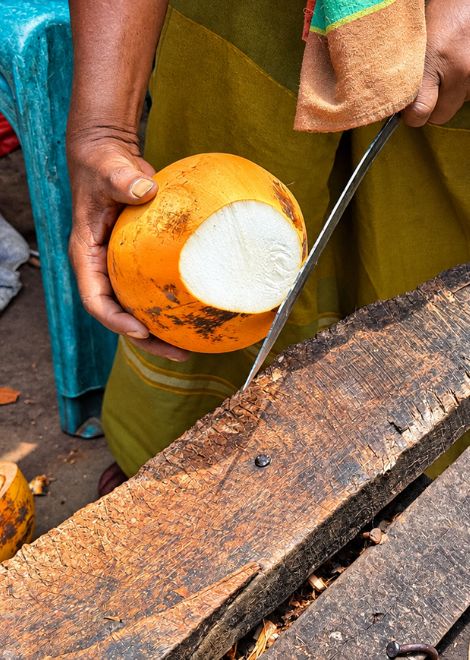 Fresh king coconut, expertly cut and served straight from the husk.
