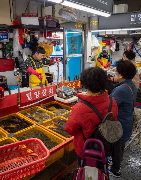 World-famous Jagalchi market