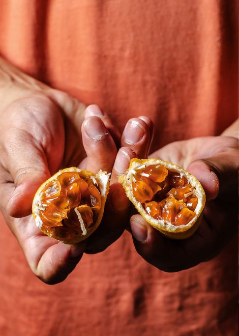 Taste the extraordinary fruits of Peru, from the Amazon to the Andes.