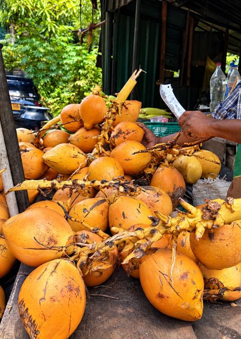 Sip the naturally sweet water of a freshly opened king coconut.