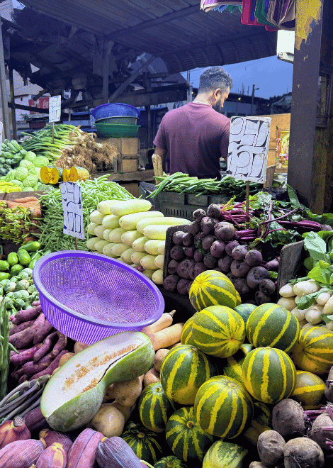 Explore the organised chaos of Pettah Market.