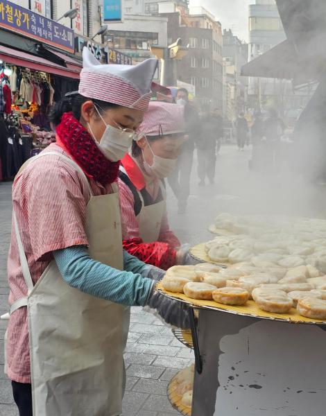 Steamed parcels of mandu dumplings