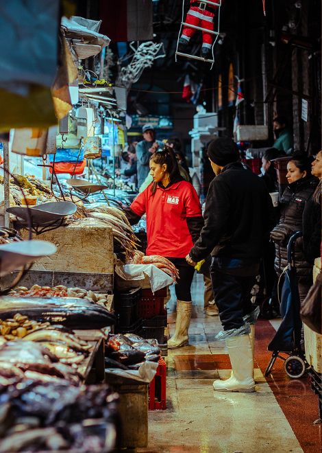 Explore three of Santiago's historic markets, where generations of vendors continue to serve locals every day