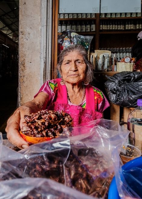 Toasted chapulines, a Oaxacan speciality