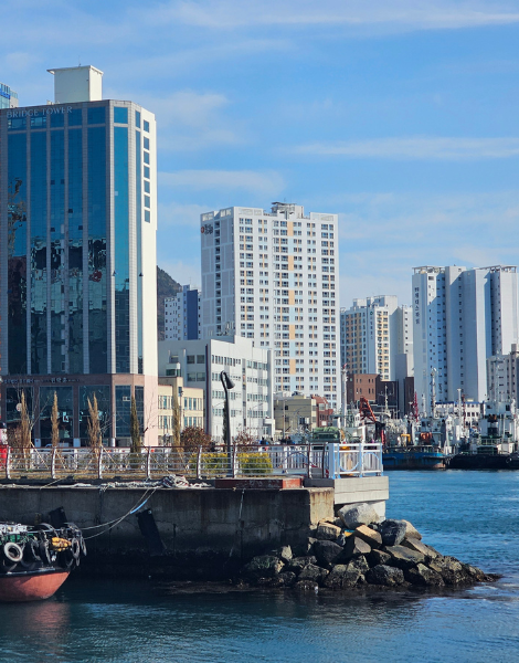 Busan's picturesque skyline