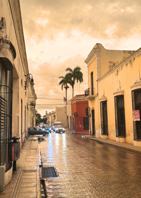 The beautiful sunset streets of Merida