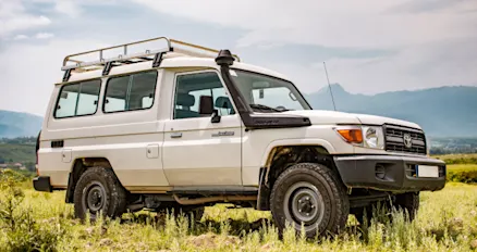 Is there still a place for ‘dumb’ cars in Australia?