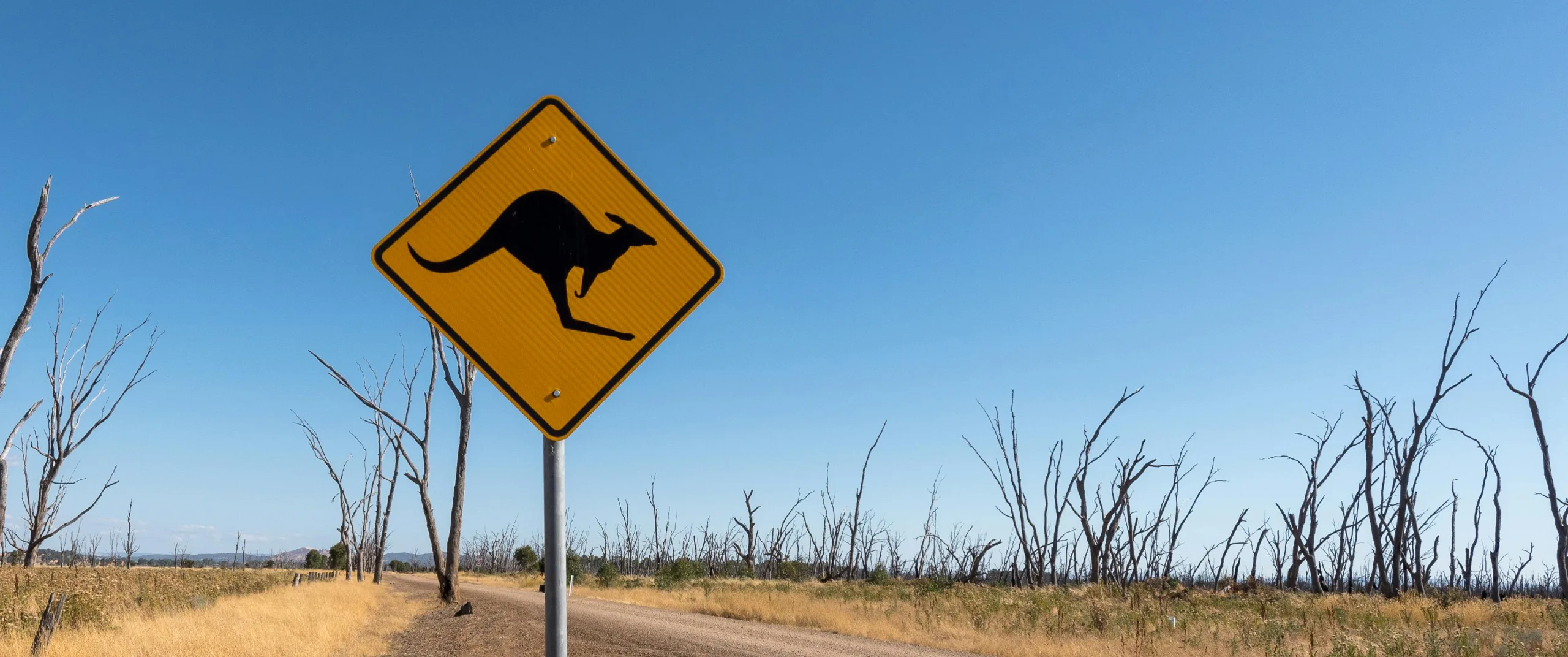 Driving down under: What makes Aussie roads so unique?