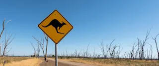 Driving down under: What makes Aussie roads so unique?