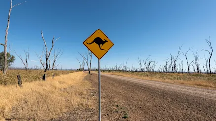 Driving down under: What makes Aussie roads so unique?