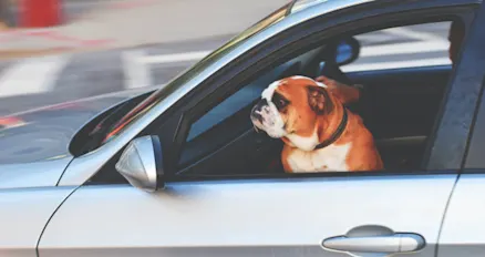 The unspoken rules of riding shotgun