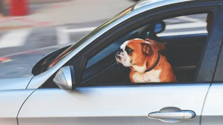 The unspoken rules of riding shotgun