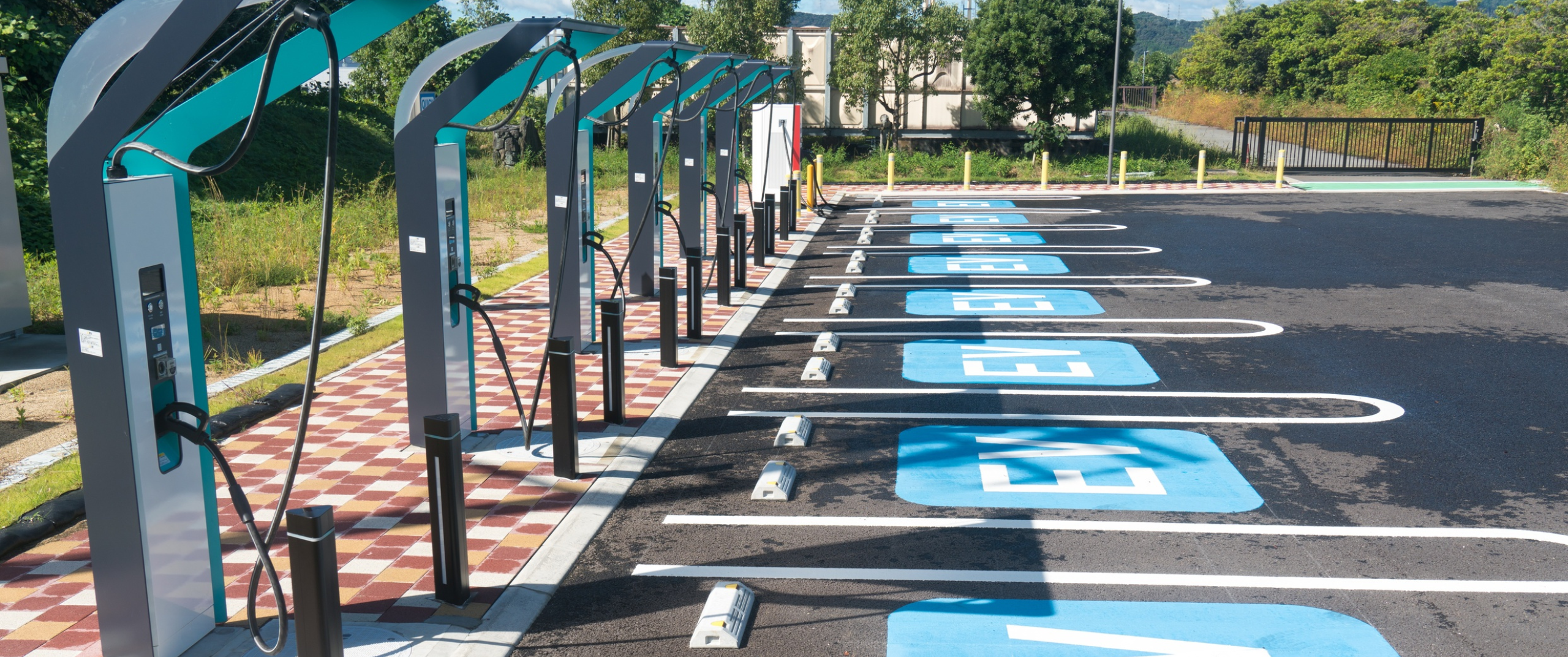 Which EV reigns supreme?