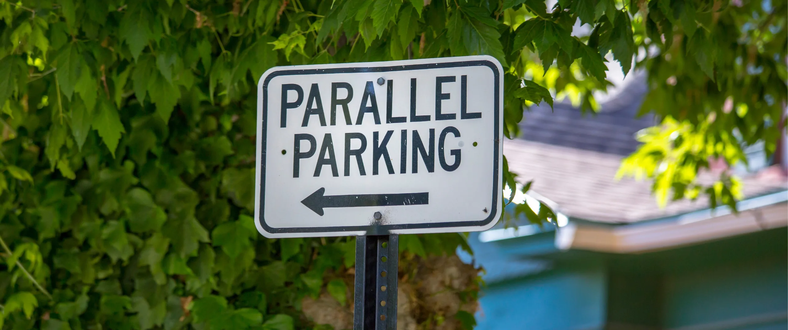 Why parallel parking should be considered an Olympic sport