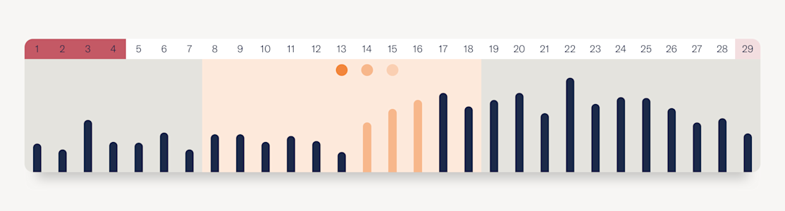Cycle Overview