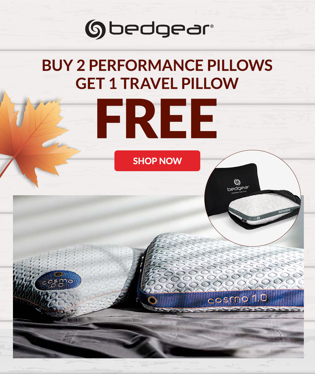 Bedgear buy 2 performance pillows and get 1 travel pillow FREE