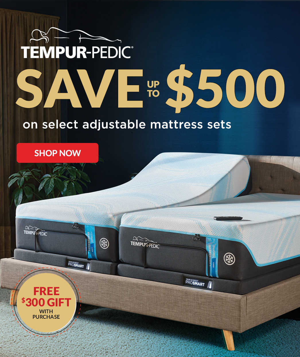 Mattress Warehouse Best Price Guaranteed Free Delivery Mattress Warehouse