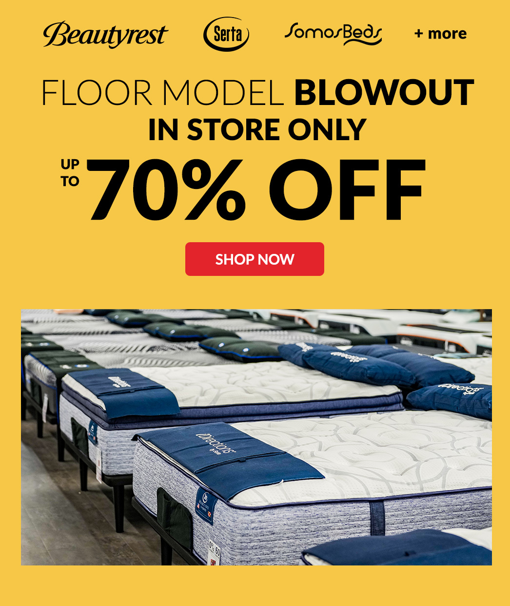 Floor Model Blowout up to 70% Off In Store Only