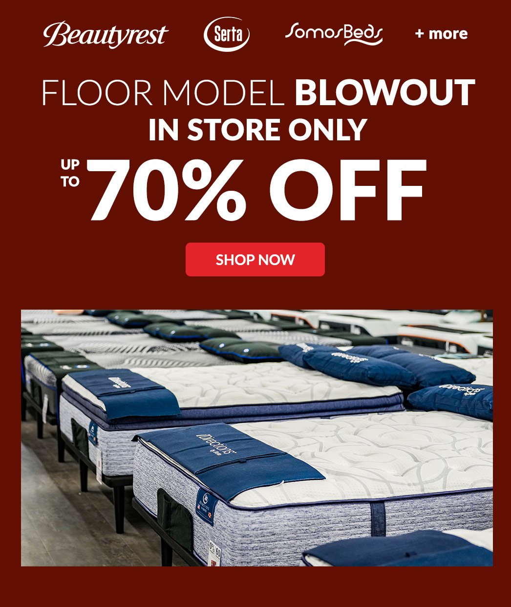 Floor Model Blowout In Store Only up to 70% Off