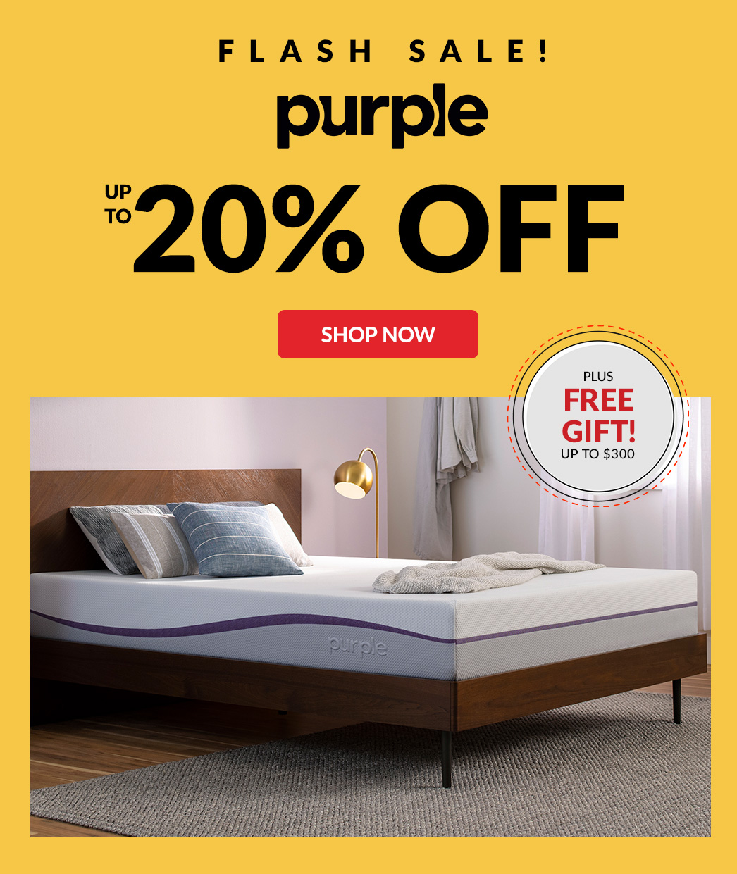 Flash Sale Purple up to 20% Off