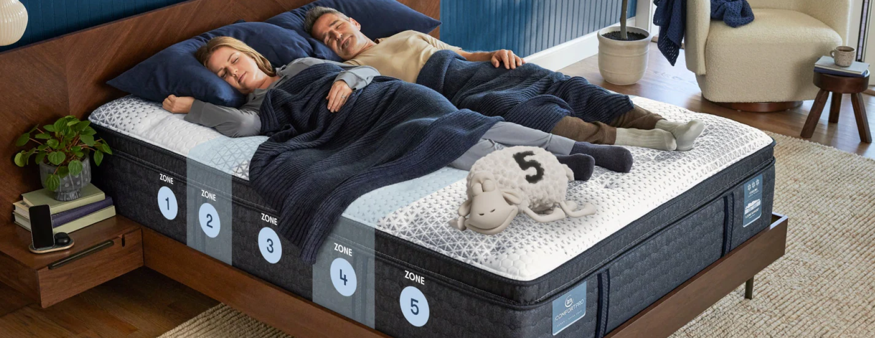 Sealy Zoned Comfort that Always Has Your Back