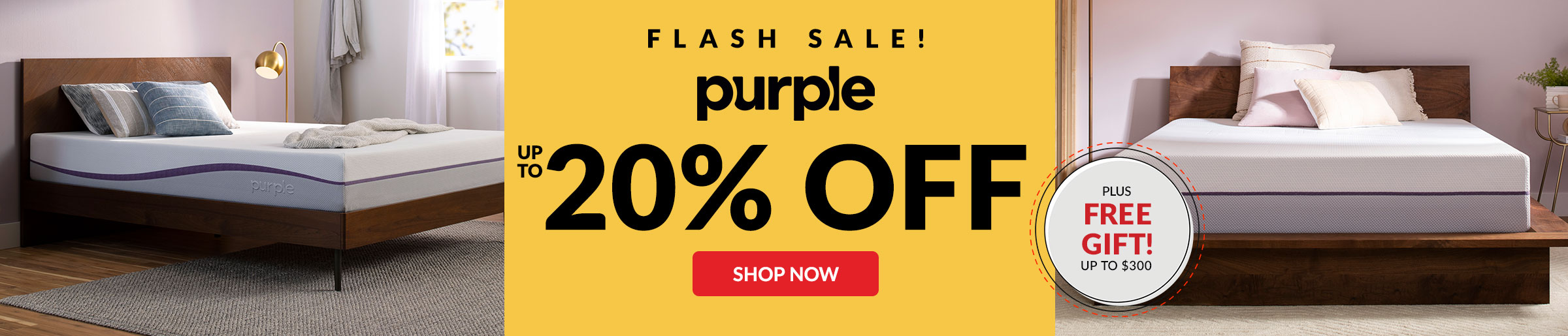 Flash Sale Purple up to 20% Off