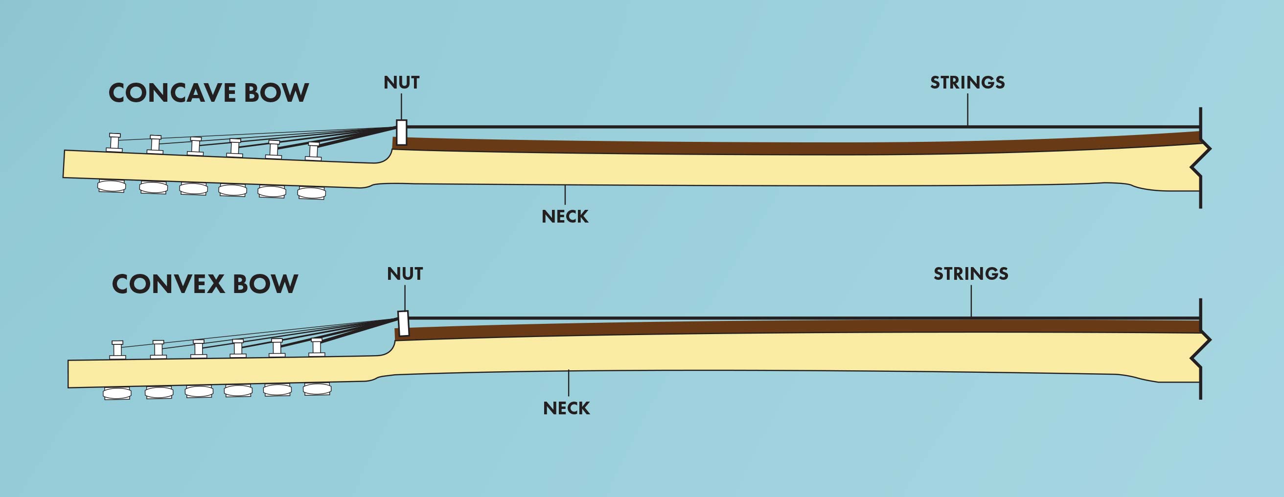 Fender Neck Specifications
