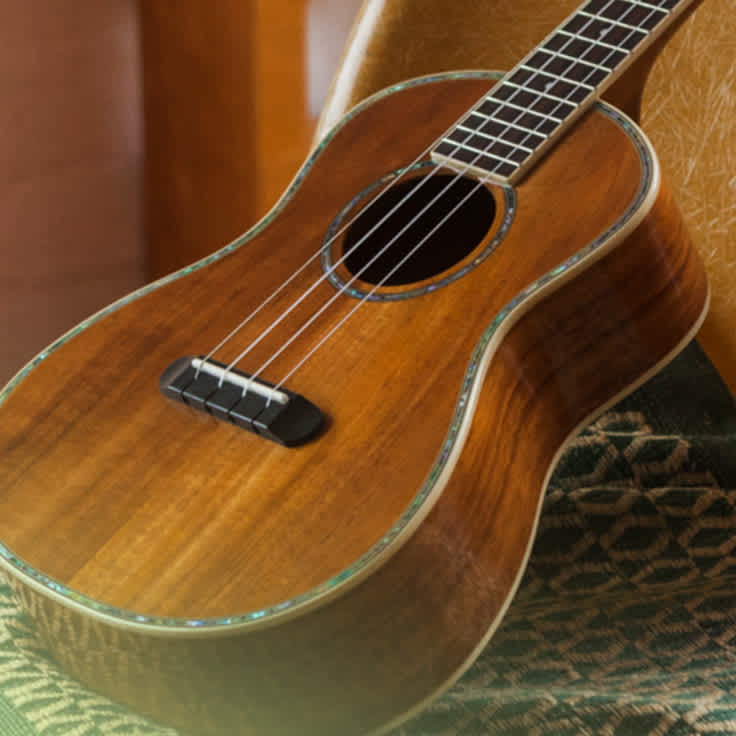 5 Reasons You Need a Ukulele in Your Dorm