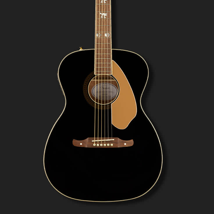 The Tim Armstrong Anniversary Hellcat: A Hellraiser of an Acoustic Guitar