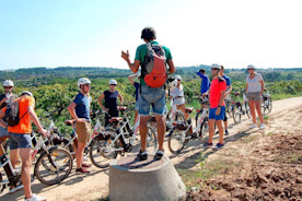 E-Bike Weintour mit Verkostung