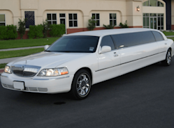 Limousine