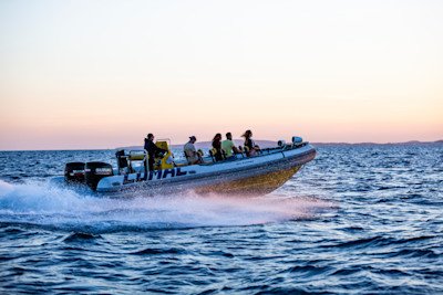 Speed Boat image