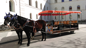 Bierkutschfahrt: Ein bayerisches Erlebnis